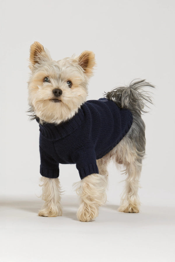 Maglia doggy in lana e cachemire blu donna Twinies