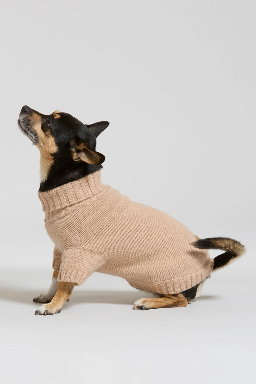 Maglia in lana e cachemire cammello donna Twinies - 3