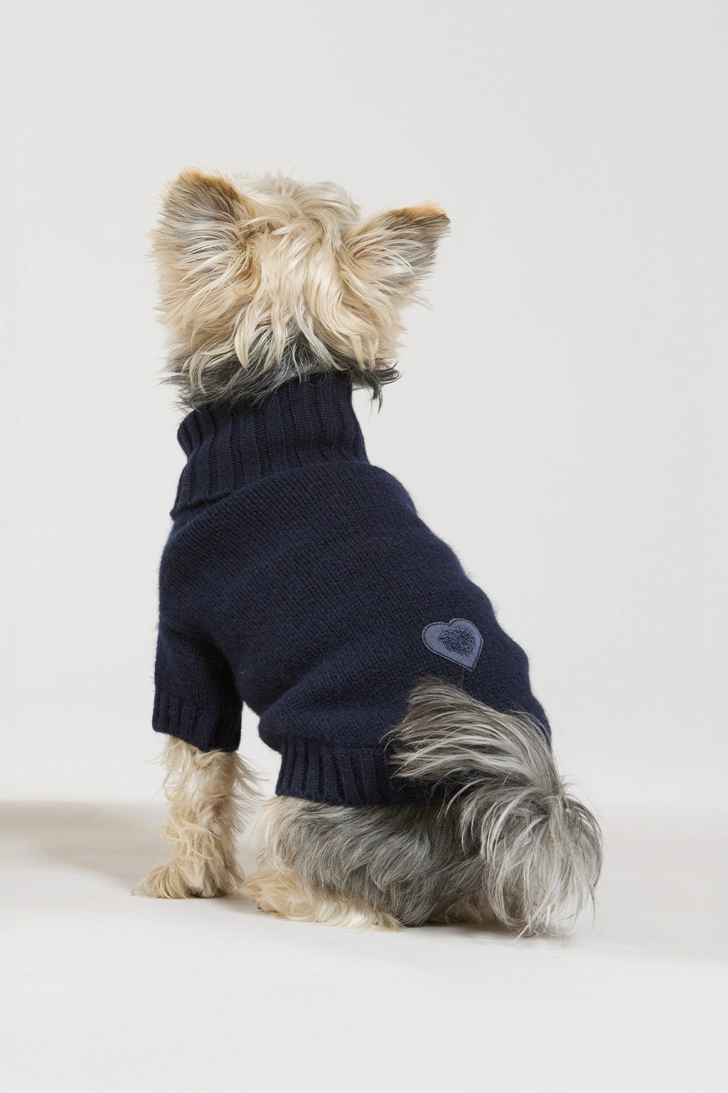 Maglia doggy in lana e cachemire blu donna Twinies - 5