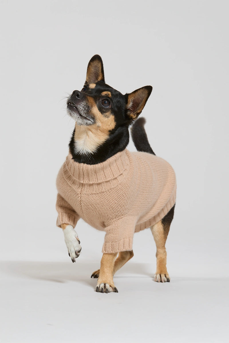 Maglia in lana e cachemire cammello donna Twinies - 1