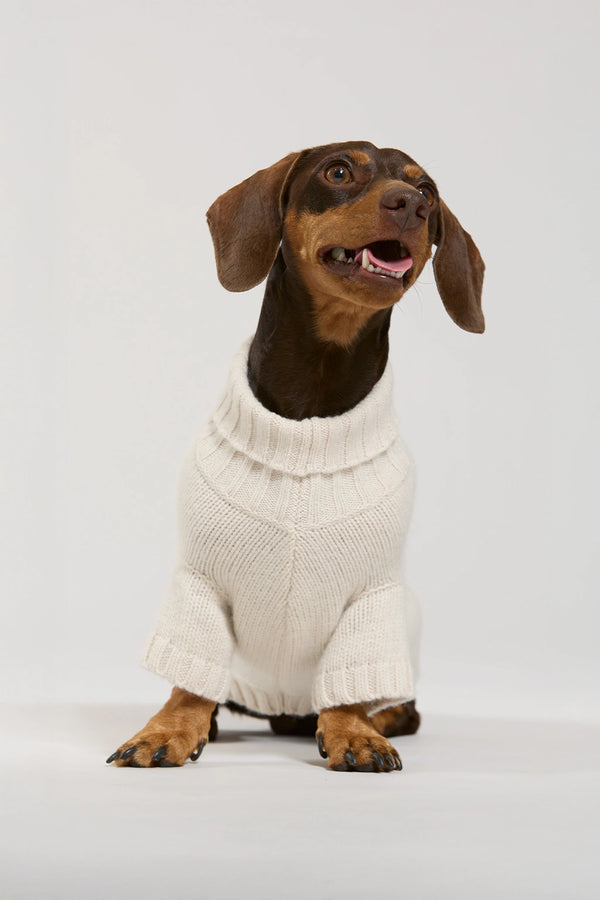 Maglia in lana e cachemire panna donna Twinies