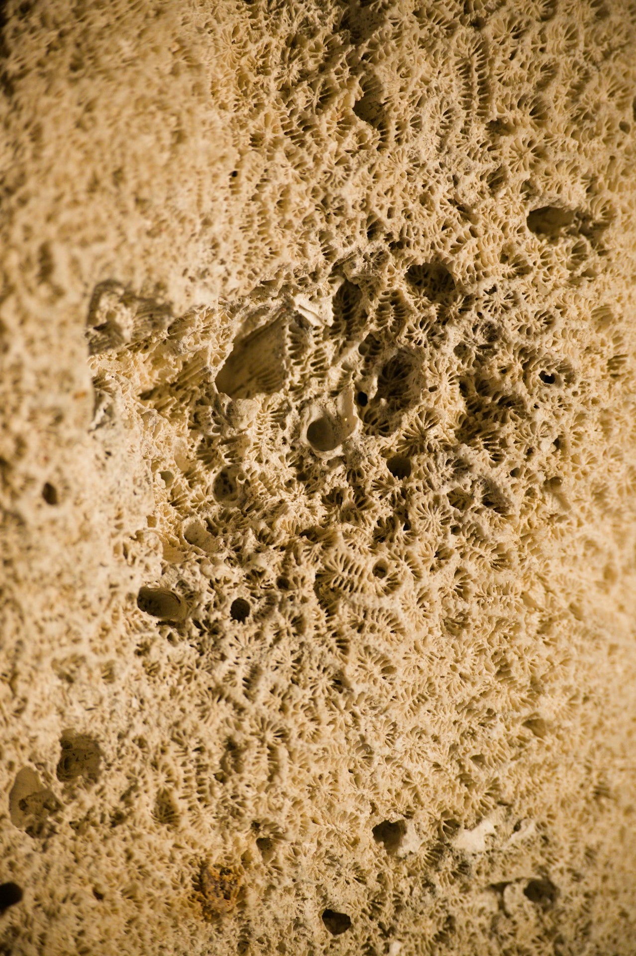 SS26