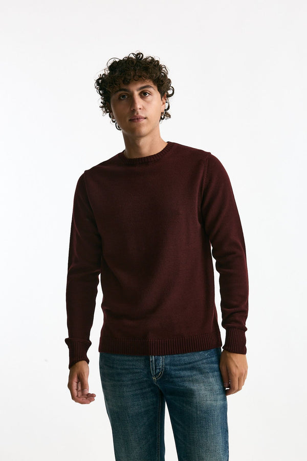 Maglia in lana bordeaux uomo ( p - s )