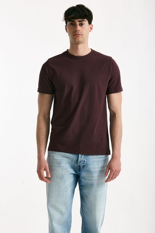 T-shirt in cotone melanzana uomo ( p - s )