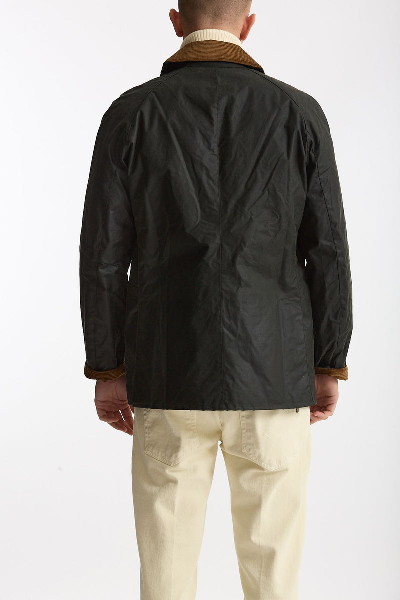 Giacca FESTIVE ASHBY WAX JACKET in cotone cerato uomo Barbour - 3