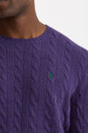 Maglia in lana e cashmere viola uomo Polo ralph lauren - 5