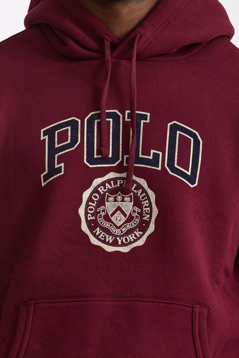Felpa in cotone bordeaux uomo Polo ralph lauren - 5