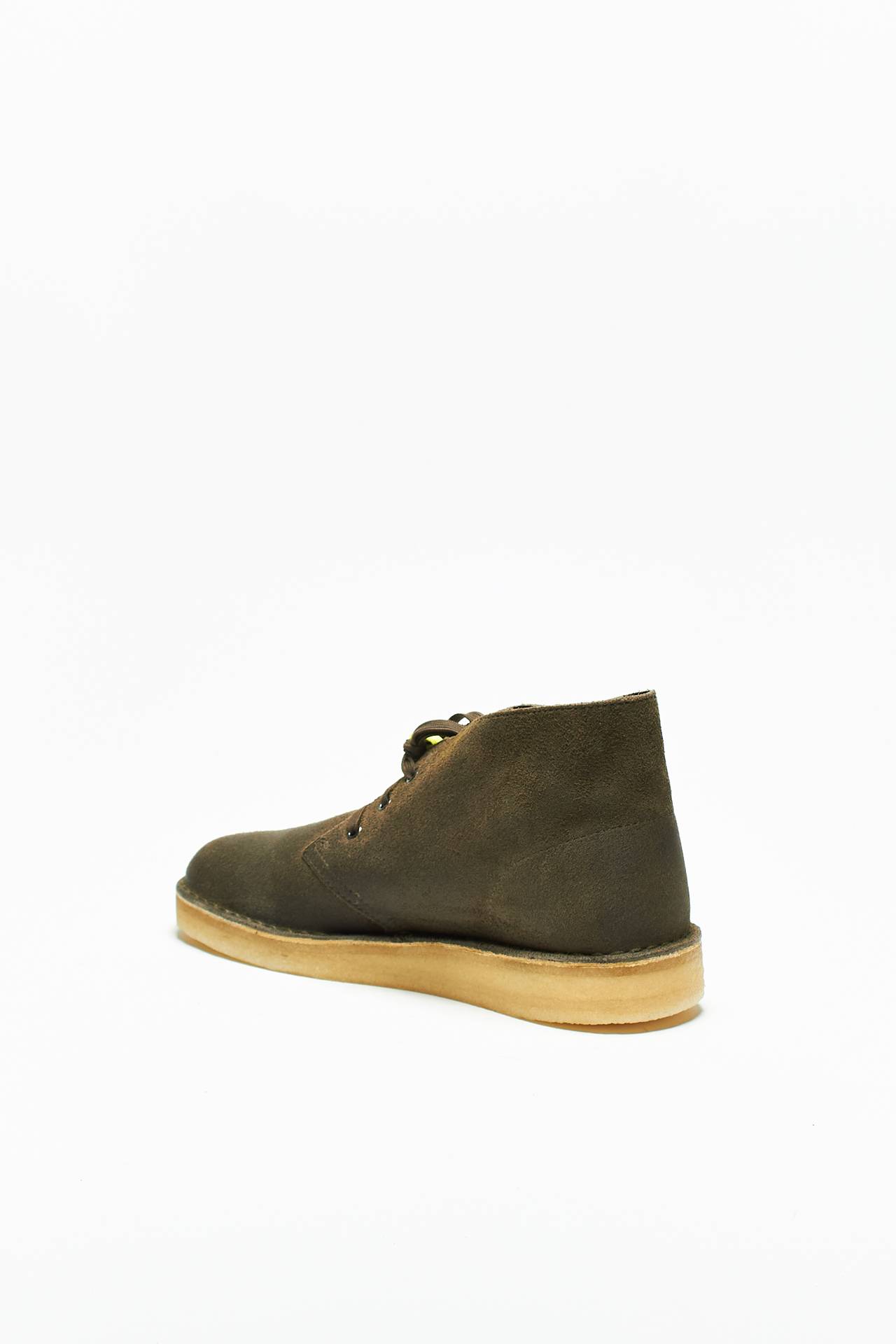 PolacchinI DESERT COAL / OLIVE
