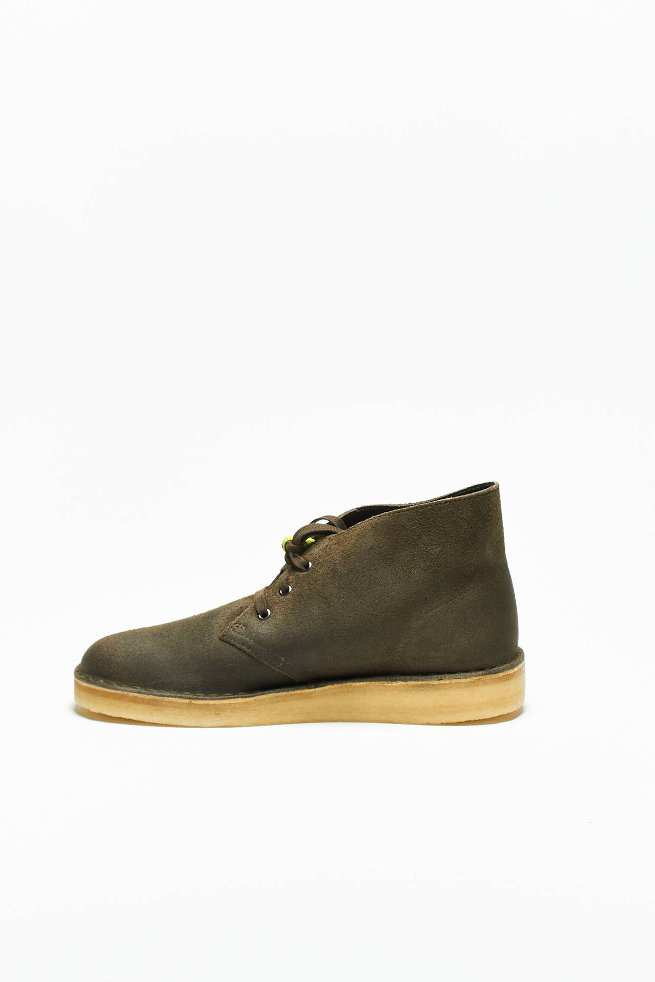PolacchinI DESERT COAL / OLIVE